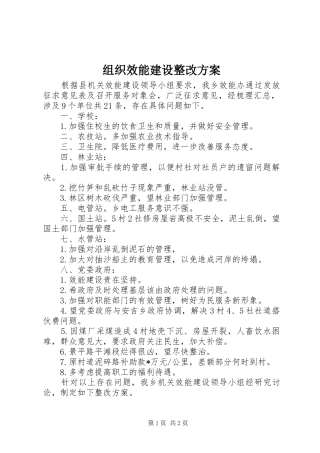 组织效能建设整改方案