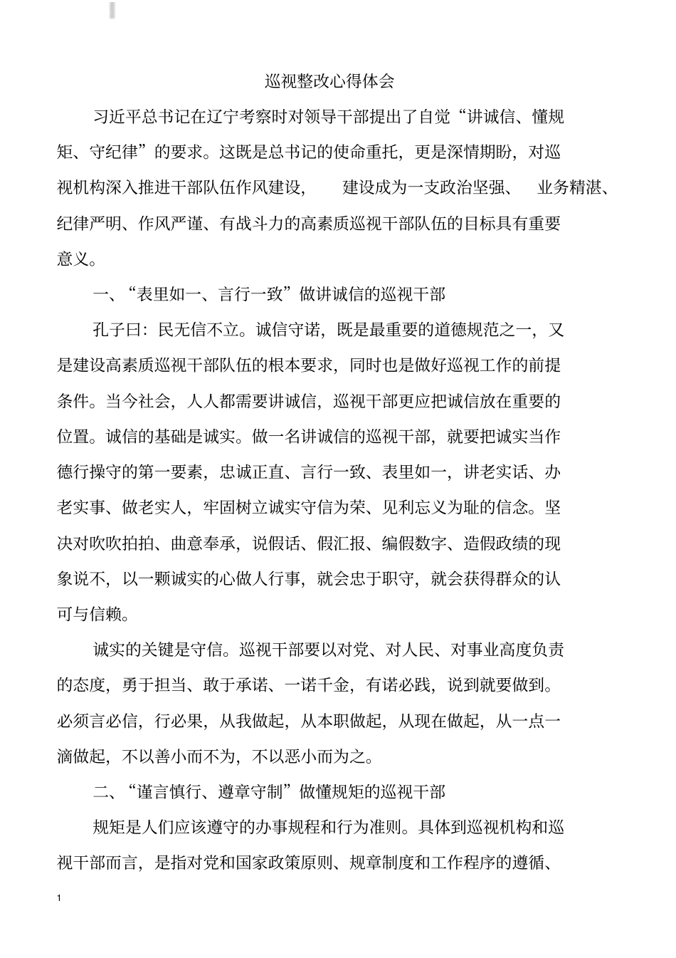 巡视整改心得体会_第1页