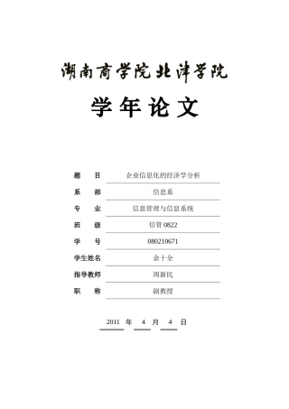 企业信息化经济学分析