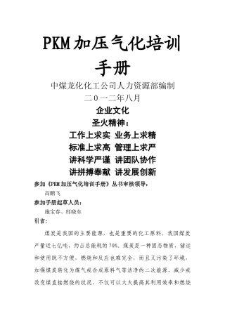 PKM加压气化培训手册
