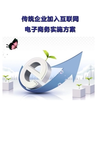 传统企业加入互联网——电子商务实施方案