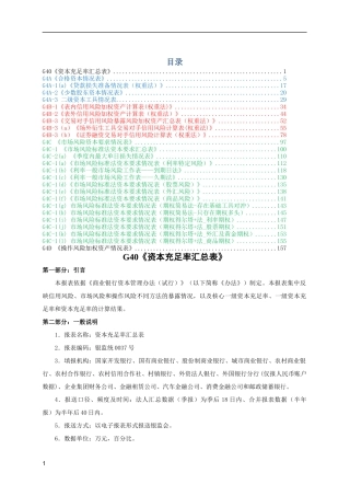 XXXX年新资本充足率(BIII)填报说明