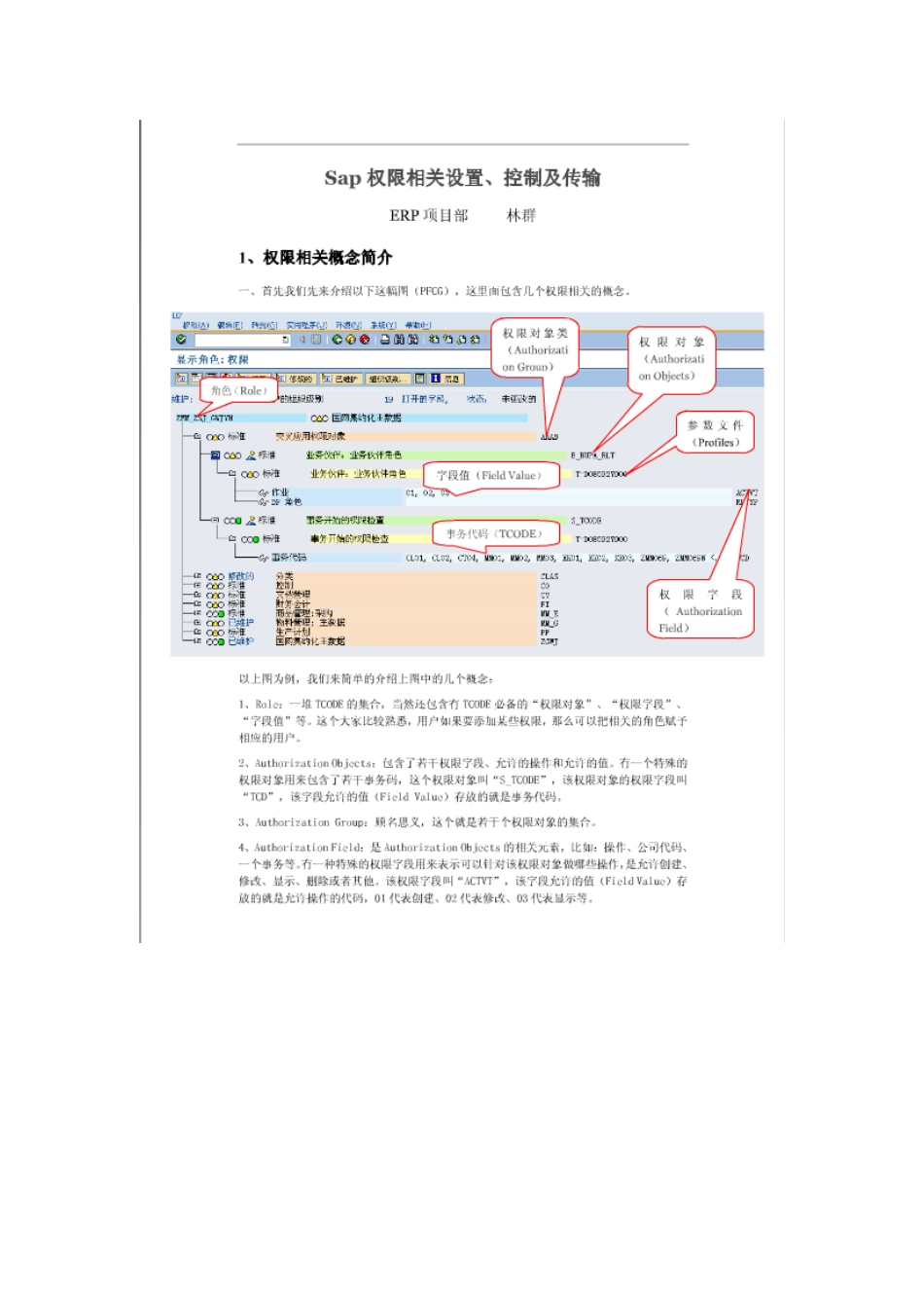 SAP权限设置控制与传输_第1页