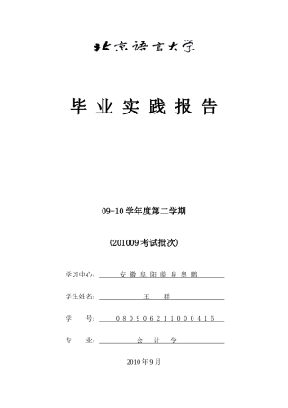 临泉县沂鸿皮件有限公司会计信息化实践报告