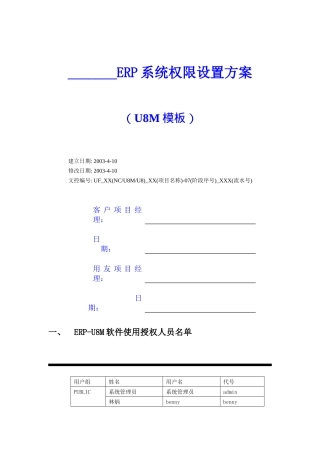 ERP系统权限设置方案(U8M模板)