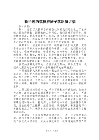新当选的镇班府班子就职演讲稿范文