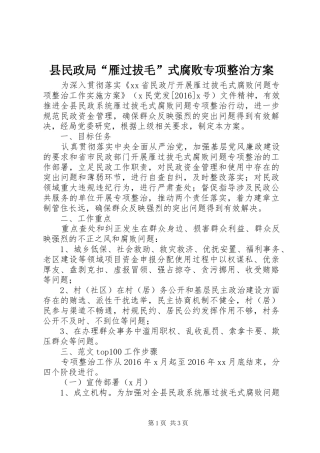 县民政局“雁过拔毛”式腐败专项整治方案