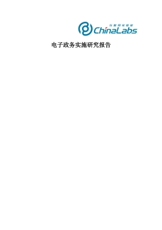 互联网电子政务实施分析报告