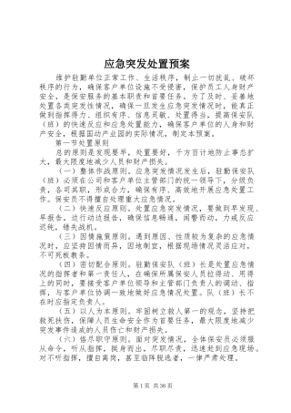 应急突发处置预案