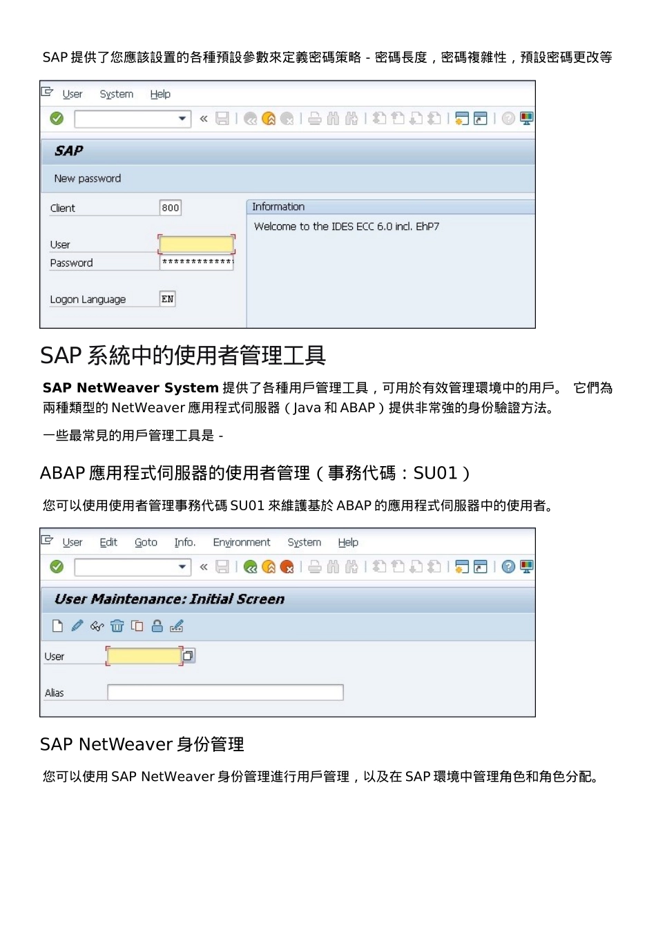SAP安全快速指南_第3页