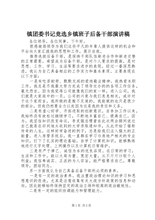 镇团委书记竞选乡镇班子后备干部演讲稿范文