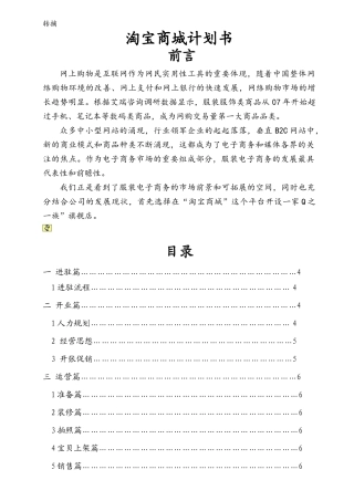 XXXX淘宝商城策划书