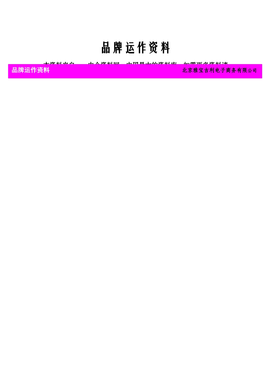 XX电子商务公司的品牌运作资料_第1页