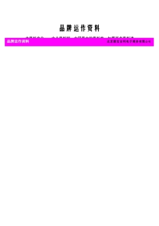 XX电子商务公司的品牌运作资料