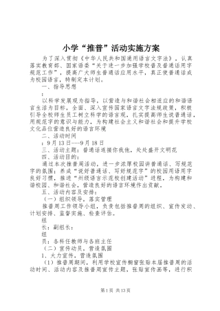 小学“推普”活动实施方案