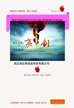 O2O电子商务计划书