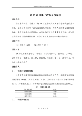 XX市XX区电子政务现状