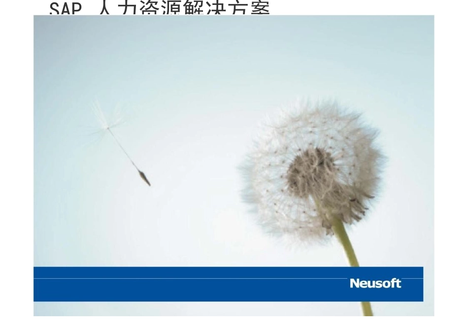 SAP人力资源解决方案_第1页
