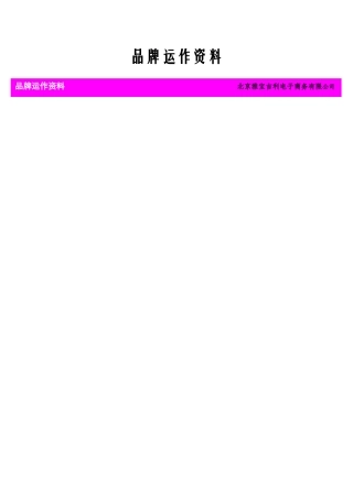 XX电子商务公司的品牌运作资料（DOC149页）