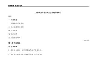 X服装企业电子商务计划书