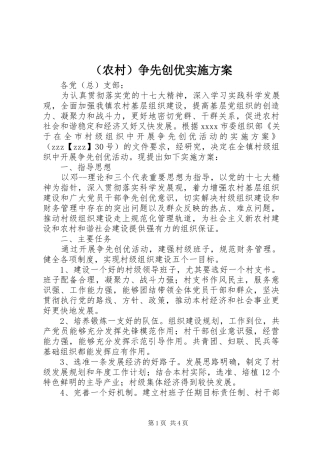 （农村）争先创优实施方案