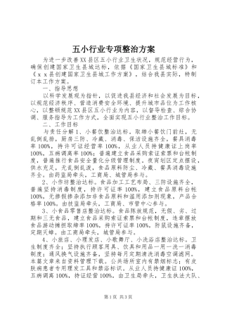 五小行业专项整治方案