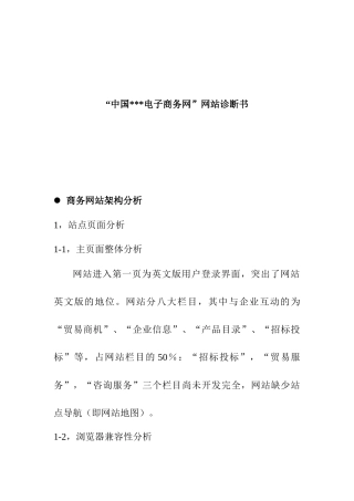 中国某电子商务网的网站诊断分析说明书