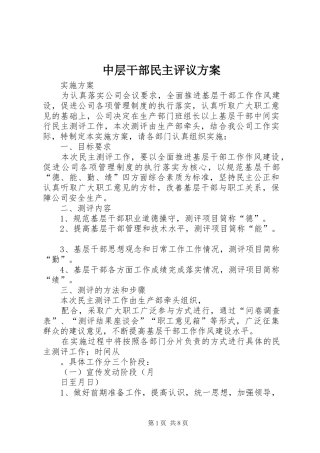 中层干部民主评议方案