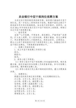 农业银行中层干部岗位竞聘方案