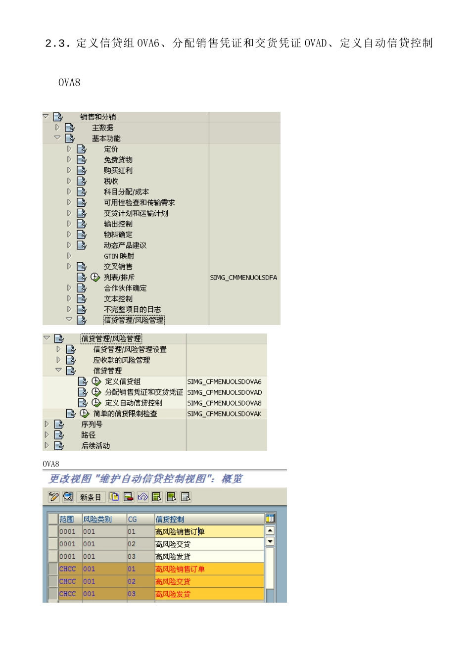 SAP信贷控制功能与配置详解_第3页