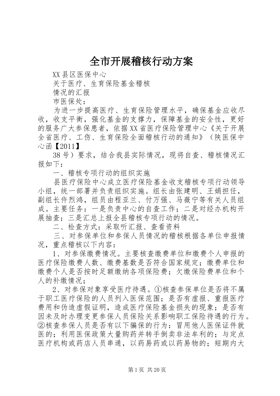 全市开展稽核行动方案_第1页