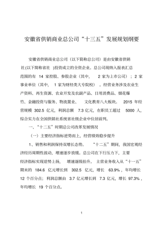 安徽供销商业总公司十三五发展规划纲要