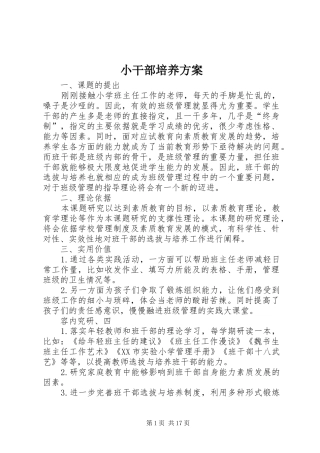 小干部培养方案