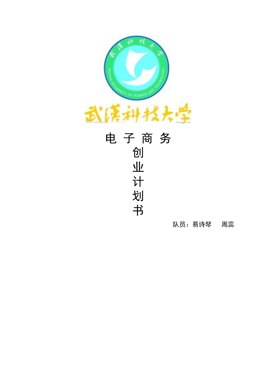 “乐淘淘”电子商务策划书_第1页
