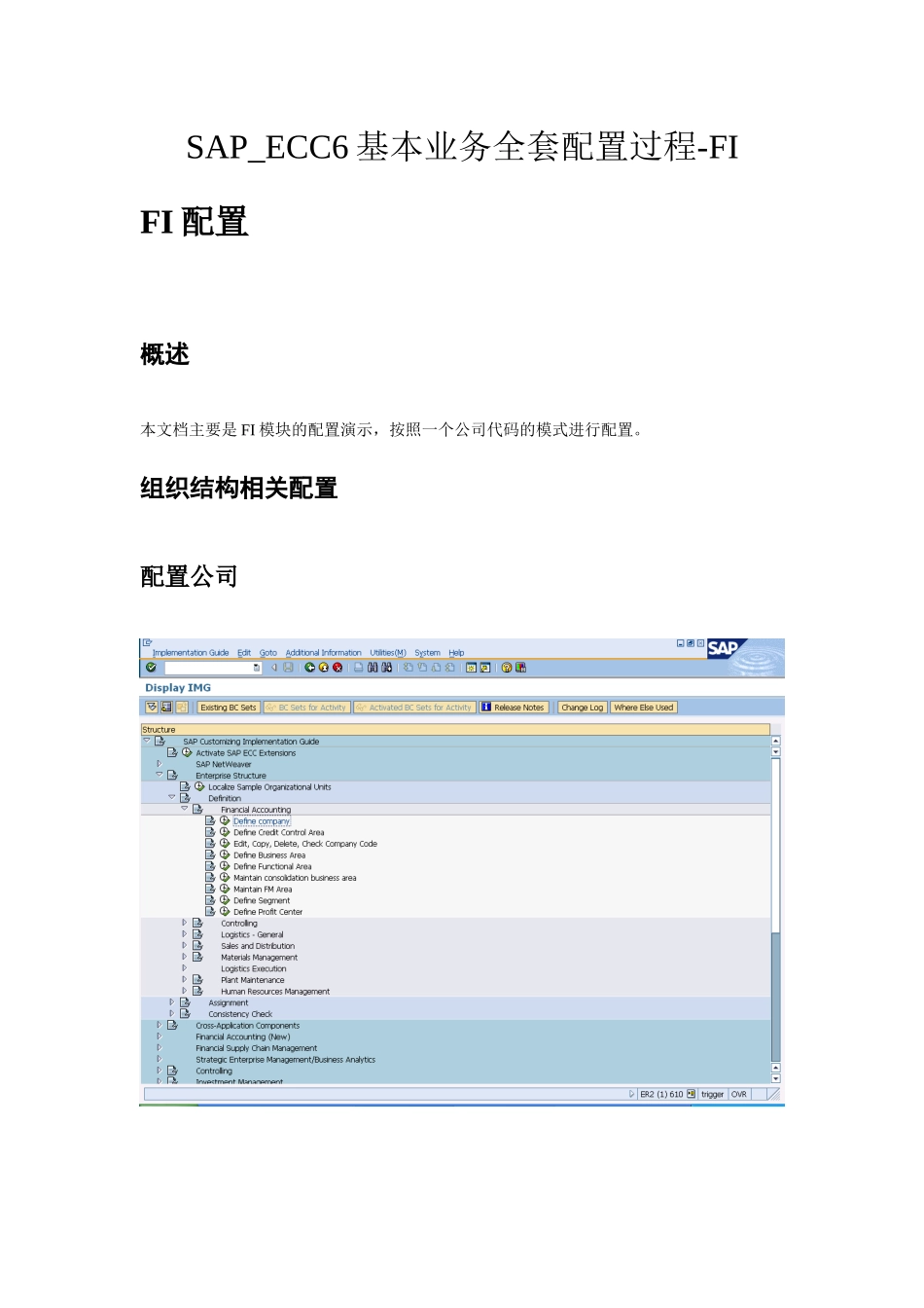SAP_SP-ECC6基本业务全套配置过程_FI配置-V11-trigger_第1页