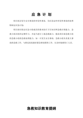 建筑工地应急措施(doc 41页)