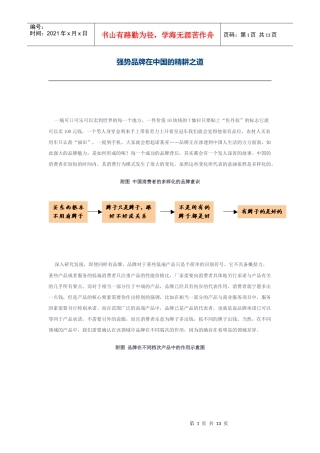 强势品牌在中国的精耕之道(doc 13页)