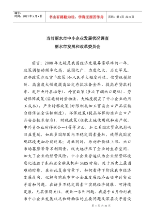 当前丽水市中小企业发展状况调查