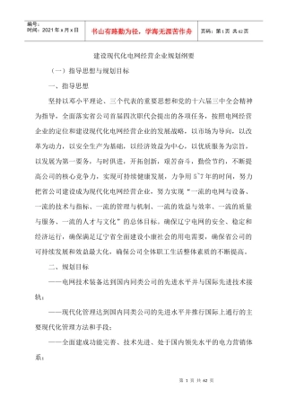 建设现代化电网经营企业规划纲要