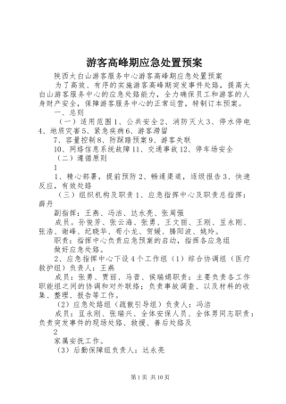游客高峰期应急处置预案