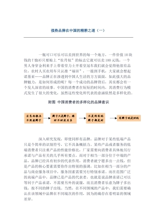 强势品牌在中国的精耕之道(doc 19页)