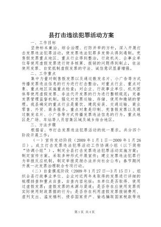 县打击违法犯罪活动方案
