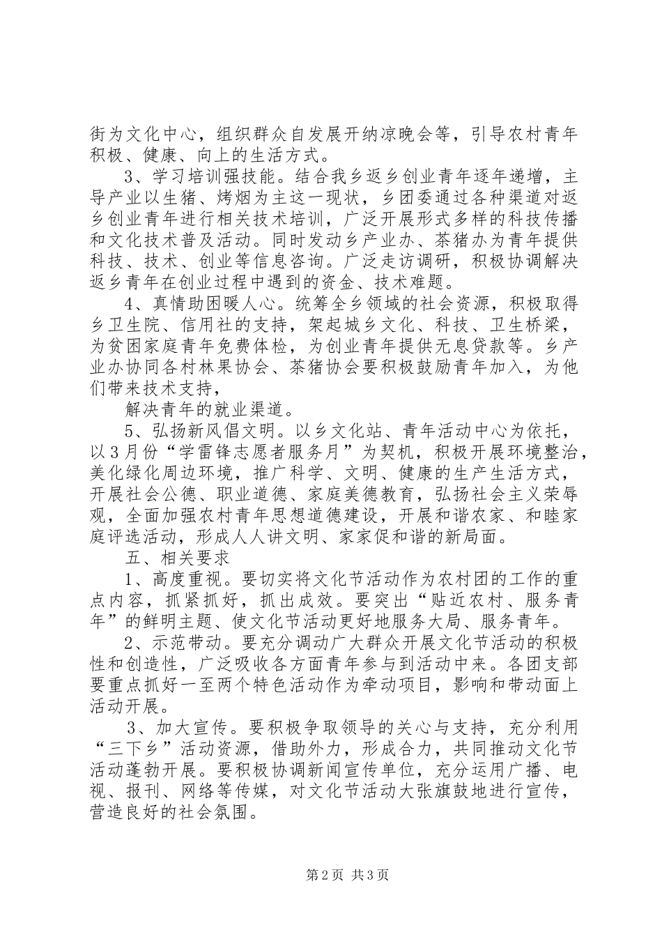 乡村青年文化活动工作方案_第2页