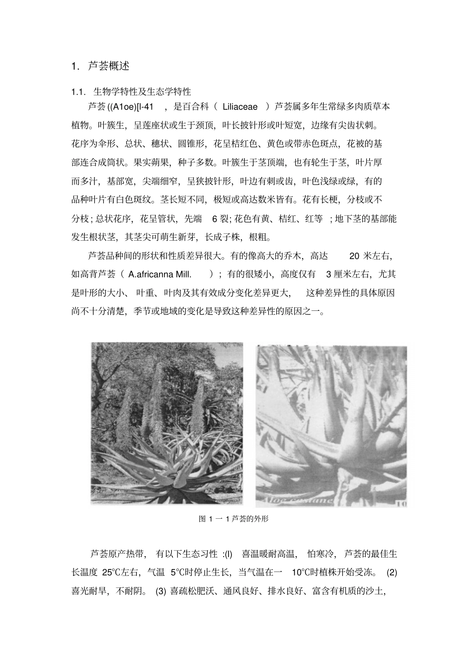 文献综述模板范文_第3页