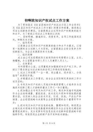 仰啊欧知识产权试点工作方案