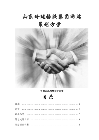 玲珑橡胶集团网站策划方案