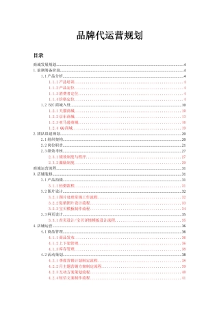 电商平台项目运营规划(运营规划编)