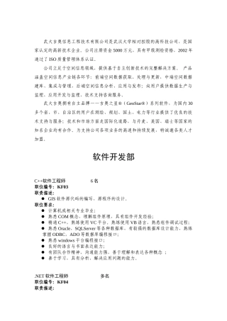 武汉武大吉奥信息工程技术有限公司