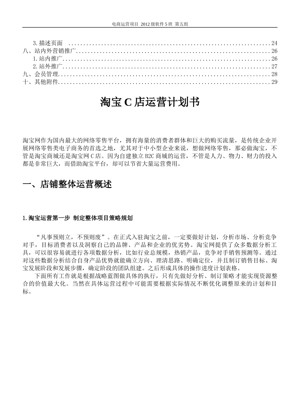 电商运营计划书_第2页