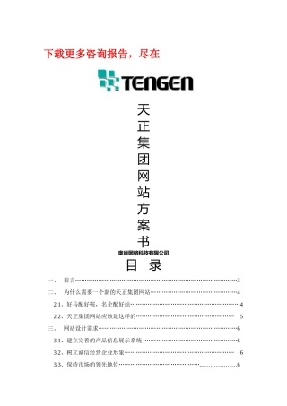 奥肯-天正-集团网站方案书